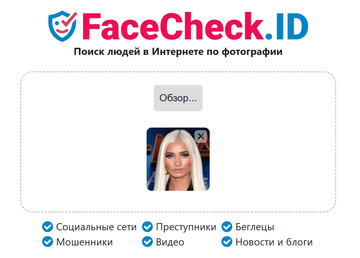 FaceCheck.ID скриншот поиска по фото
