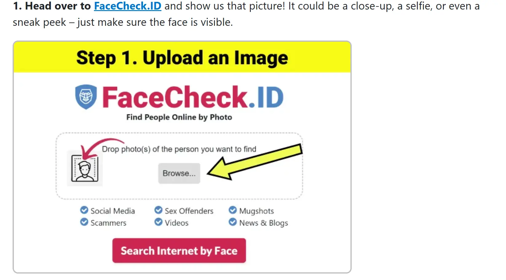Скриншот FaceCheck.ID