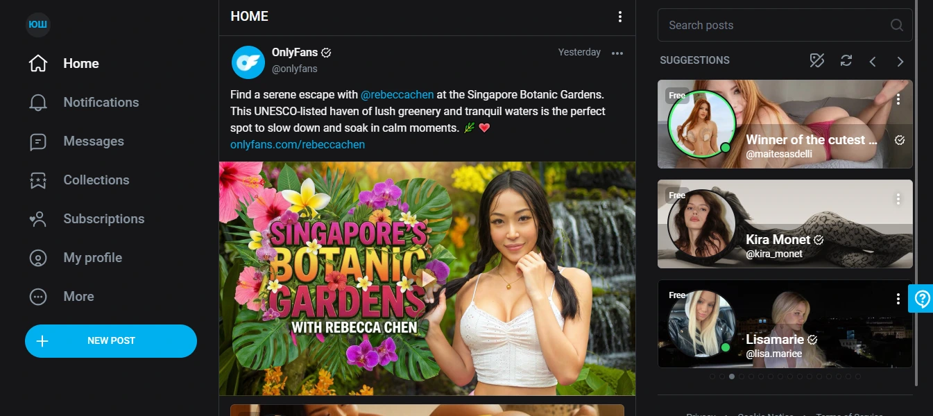 Как вести и раскрутить OnlyFans: советы для моделей