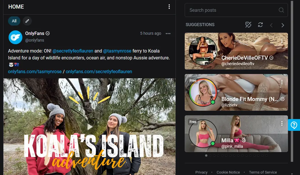 Самые оплачиваемые модели OnlyFans и как добиться такого же успеха